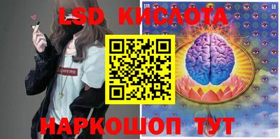 дмт Новодвинск