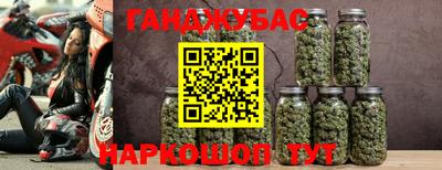 дмт Новодвинск