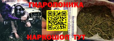 дмт Новодвинск